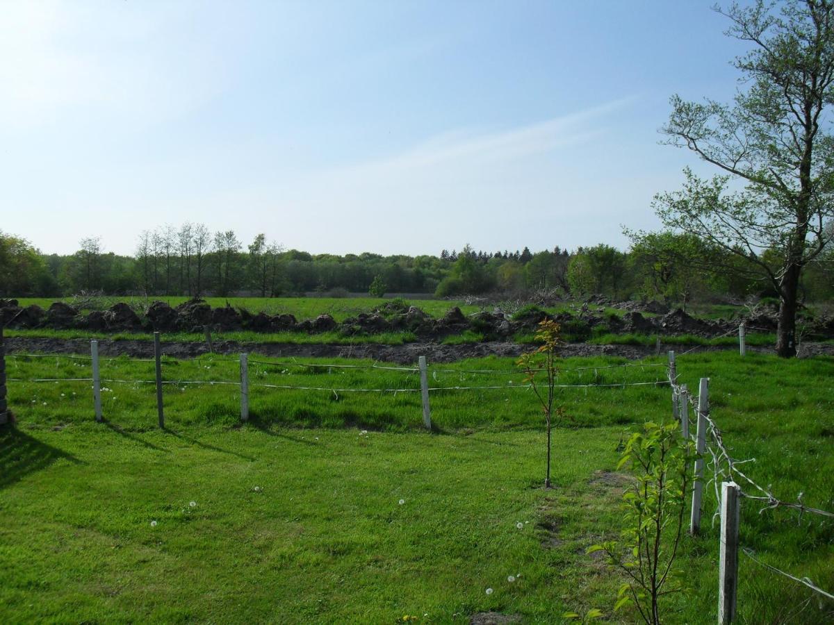 Ferienhof Schlachter Berumbur Luaran gambar